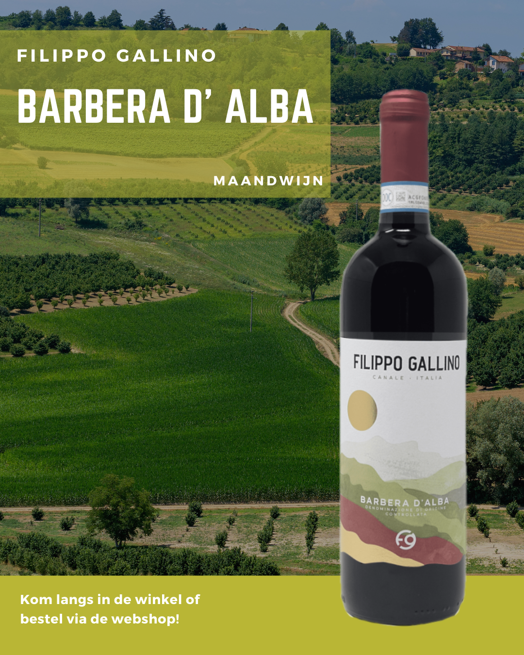 Barbera d'Alba van Filippo Gallino