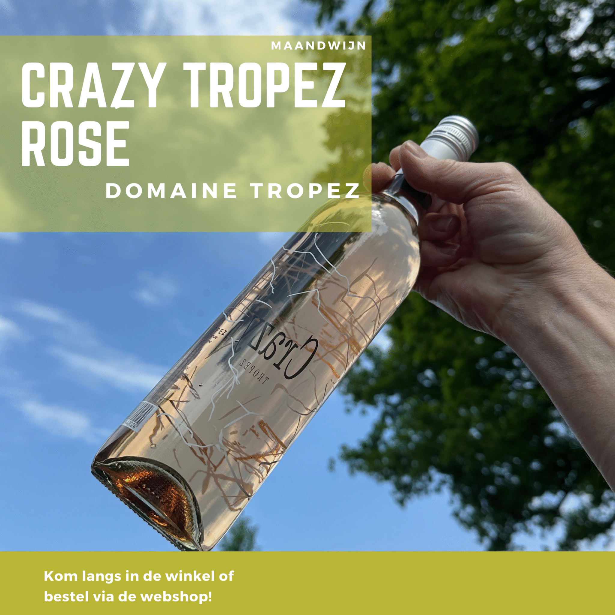 Crazy tropez rose maandwijn mei